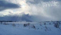 c83596cb416bf54bd1750eb9d7fb7aa0