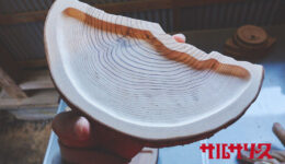 salsa-2023-05-07-top