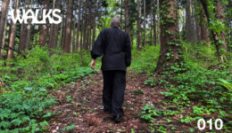 walks-img-010-02