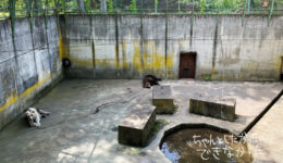 一般社団法人WORKSHOP VO | 青森