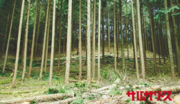 一般社団法人WORKSHOP VO | 青森