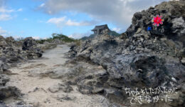 一般社団法人WORKSHOP VO | 青森