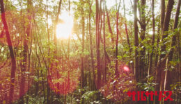 一般社団法人WORKSHOP VO | 青森