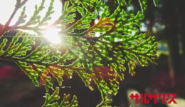 一般社団法人WORKSHOP VO | 青森