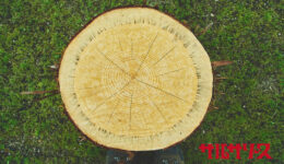 一般社団法人WORKSHOP VO | 青森