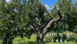 一般社団法人WORKSHOP VO | 青森