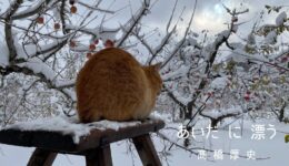 一般社団法人WORKSHOP VO | 青森