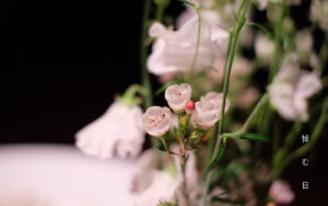 一般社団法人WORKSHOP VO | 青森